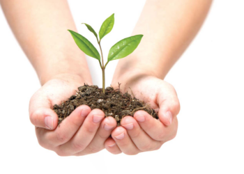 THÔNG BÁO HỌC BỔNG KHOA CHĂN NUÔI THÚ Y (20/11/2018)