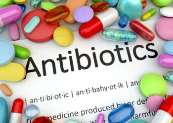 HỘI THẢO  PHÒNG CHỐNG KHÁNG KHÁNG SINH CHO CÁC TRƯỜNG ĐÀO TẠO, SINH VIÊN CHUYÊN NGÀNH THÚ Y