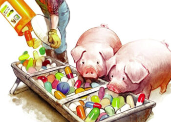 SEMINAR CHUYÊN ĐỀ “THỰC HÀNH GIẢM SỬ DỤNG KHÁNG SINH TRONG CHĂN NUÔI”