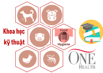 HỘI NGHỊ CHĂN NUÔI THÚ Y TOÀN QUỐC – AVS 2019