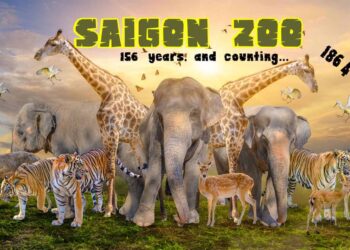 THÔNG BÁO – TUYỂN CỘNG TÁC VIÊN – THẢO CẦM VIÊN SÀI GÒN