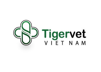 tigervet