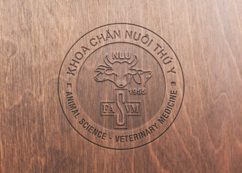 mockup logo khoa cnty 3