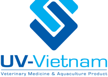 logo cty tnhh uv việt nam
