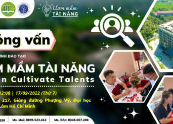 z3702156731611 c00584abfd492c907c216710010d4161