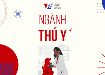 vfe du hoc phap nganh thu y