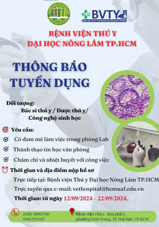 THÔNG BÁO TUYỂN DỤNG