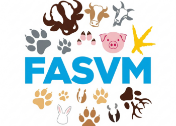 logo fasvm