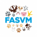 logo fasvm