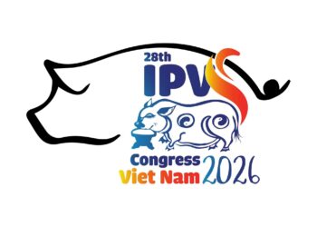 608054837 122178652436382889 1833064711096585794 n