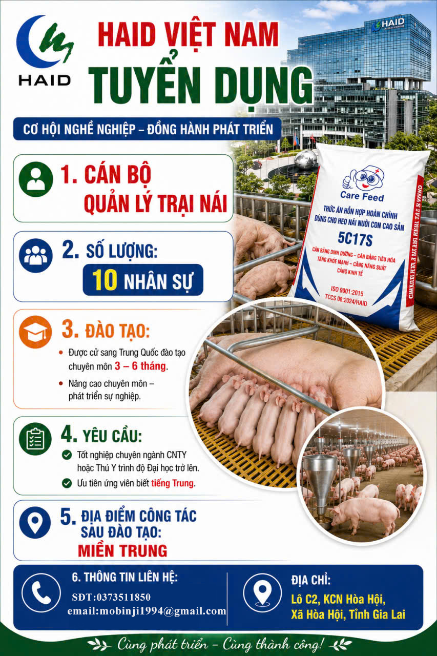 tuyển dụng kỹ thuật viên chăn nuôi heo