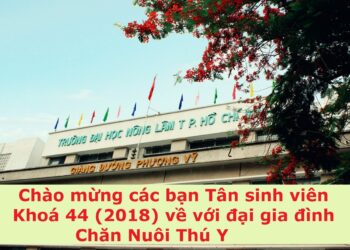 2017 05 06 07.41.07 1