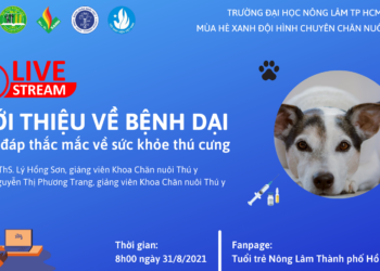 31.08 mua he xanh online