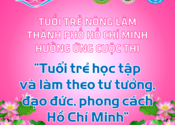 cuoc thi hoc tap lam theo loi bac