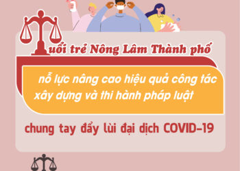 ngay phap luat vn