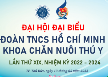 background đại hội min