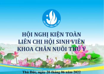 kiện toàn background