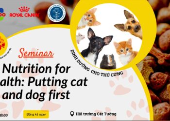 z3807514336357 c0ac20ac712e8dc1ad570546a0c11fd5