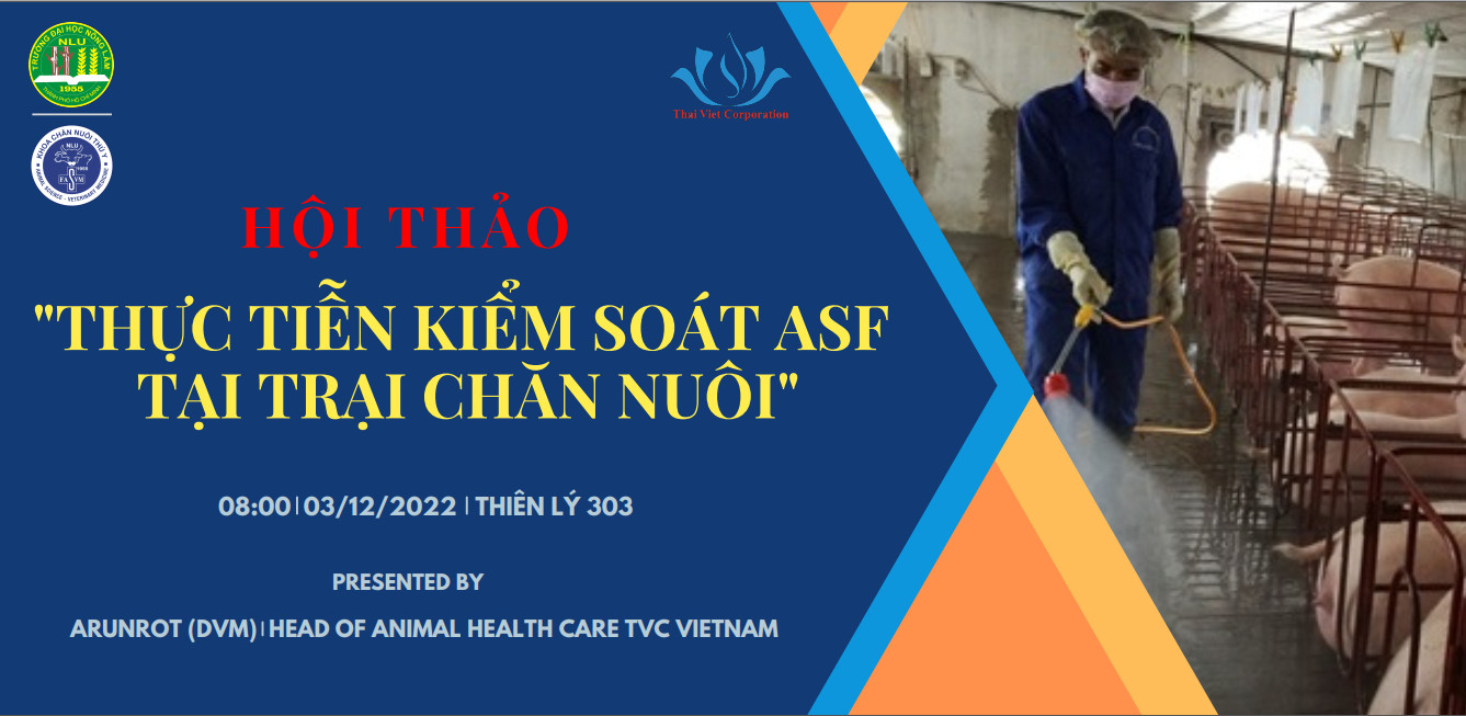 thÁi viet