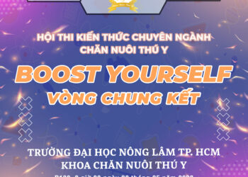 vong chung ket