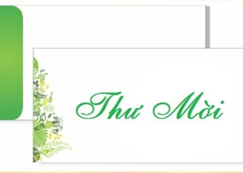 mau giay moi